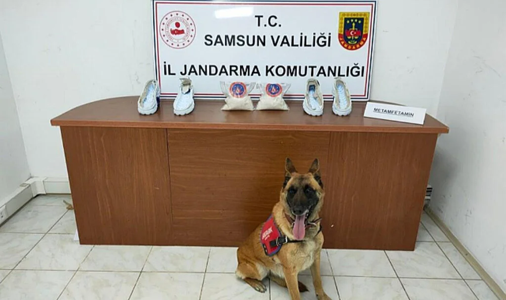 Samsun Jandarma Aranan 595 Kişiyi Yakaladı