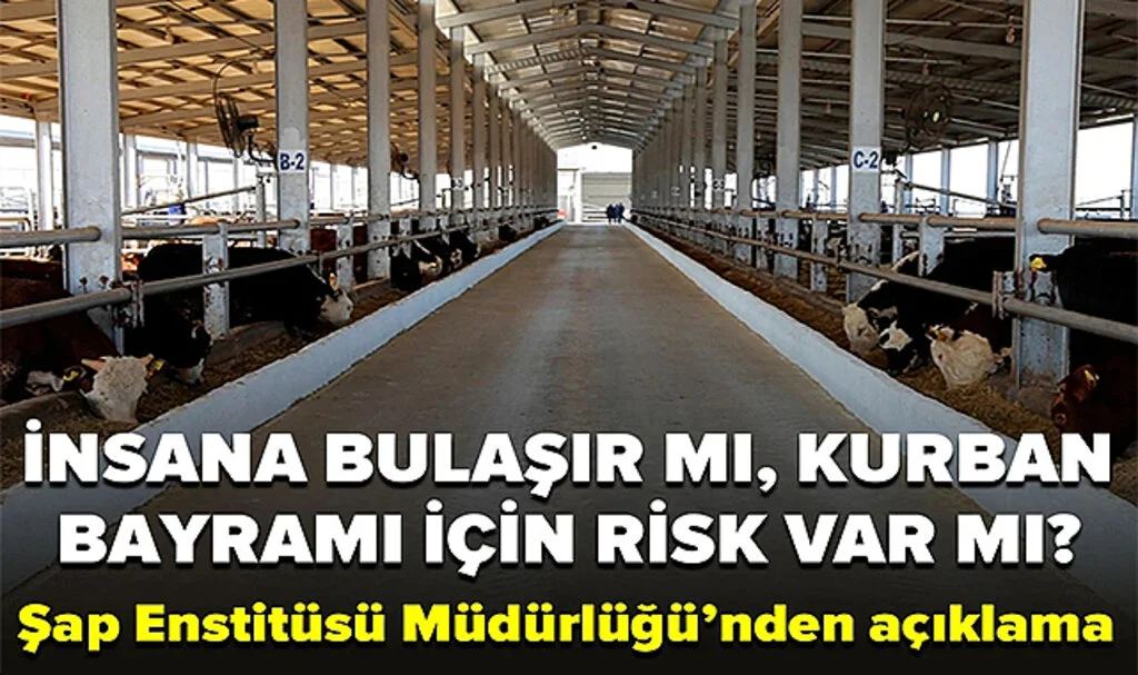 Şap Enstitüsü Müdür Vekili Ertan Ağtürk'ten açıklama: Şap hastalığı insana bulaşır mı, Kurban Bayramı için risk var mı?