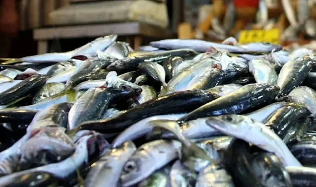 Son 15 Gün! Vatandaş Alamıyor