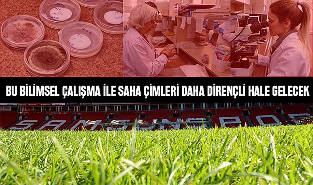 Bu Bilimsel Çalışma ile Saha Çimleri Daha Dirençli Hale Gelecek