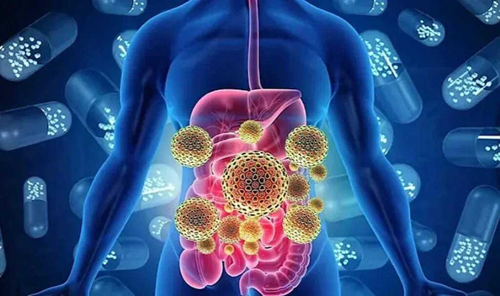 Gastrointestinal Enfeksiyon Nedir?