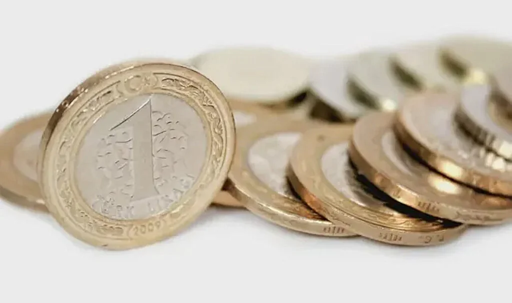 Hafif Olan Bir Lira ve 50 Kuruşlar Piyasaya Sürüldü