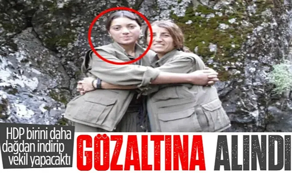 HDP Milletvekili Adayı Ayten Dönmez Gözaltına Alındı