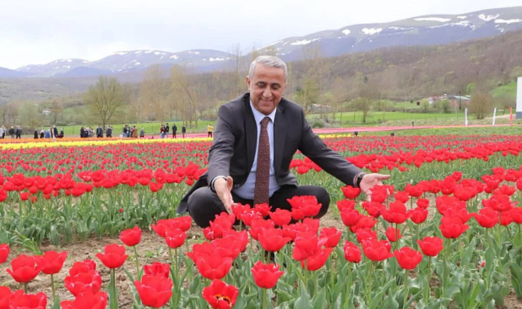 İbrahim Sağlam; Samsun'un Kartpostallık Lale Bahçeleri Gelir Kapısı Olacak