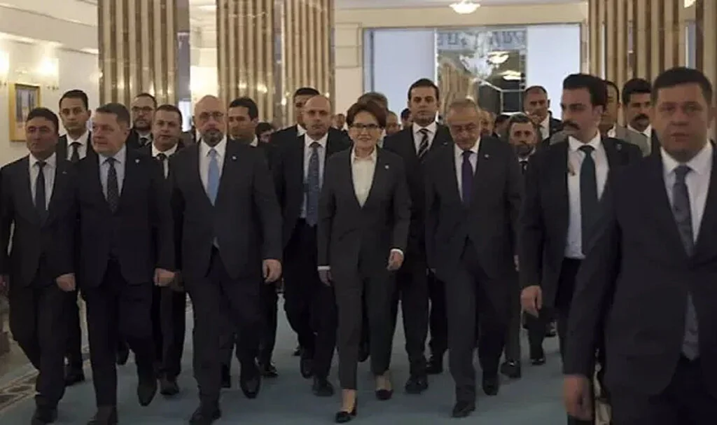 İYİ Parti, 15 İlde Temayül Yoklaması Yapıyor