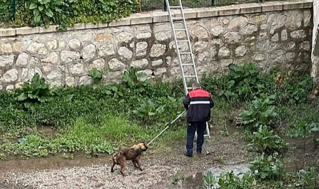 Kavak’ta Yürek Isıtan Operasyon