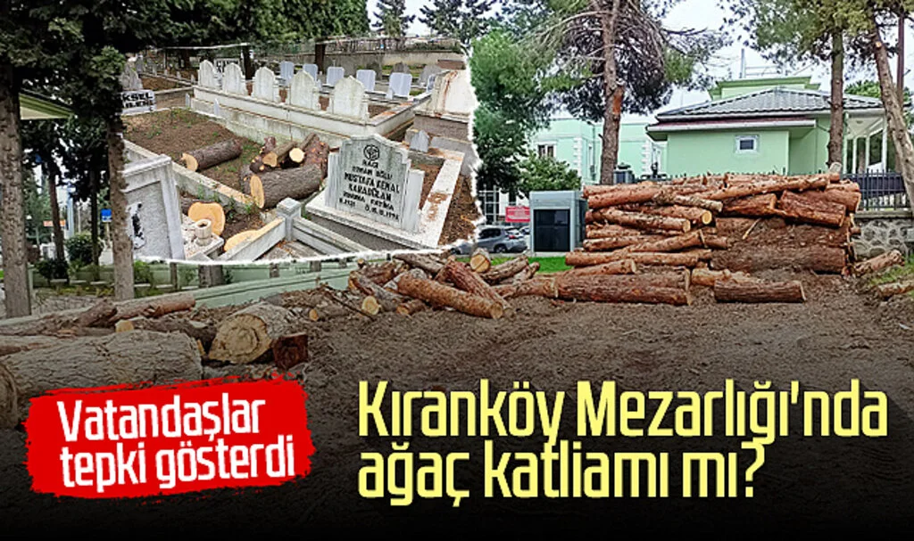 Kıranköy Mezarlığı'nda ağaç katliamı mı?