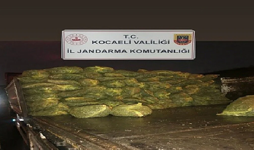 Kocaeli'de 10 Ton Kaçak Midye Ele Geçirildi