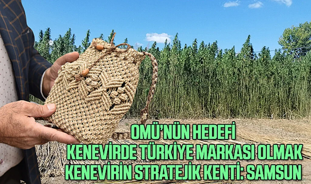OMÜ’nün Hedefi; Kenevirde Türkiye Markası Olmak, Kenevirin Stratejik Kenti: Samsun 