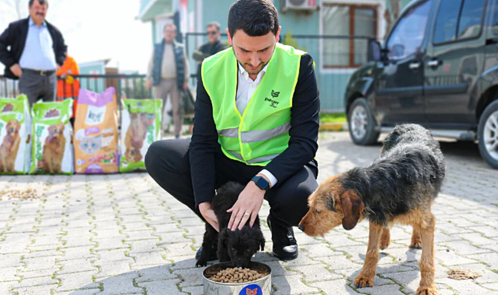 Pakun'dan Patili Dostlara Mama