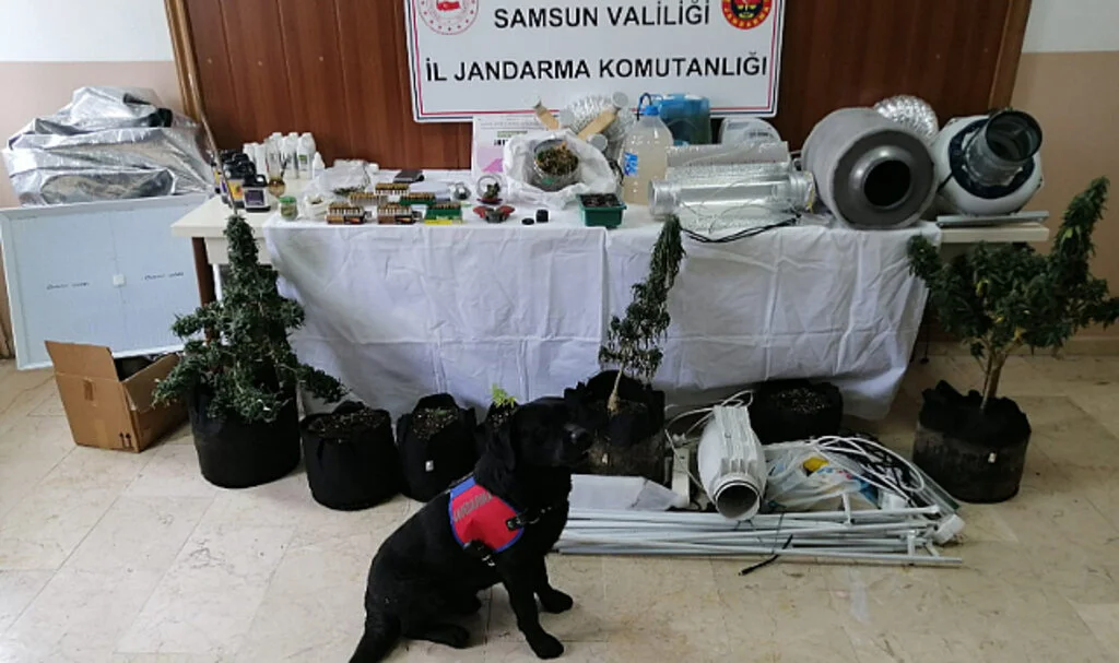 Samsun'da Evlerinde İklimlendirme Sistemi Kurarak Uyuşturucu Üretimi Yapan 3 Şüpheli Yakalandı