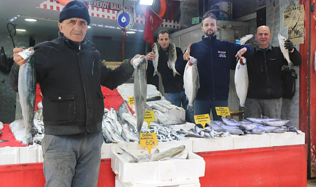 Samsun’da Mevsim Balıklarının Yerini Kültür Balıkları Aldı