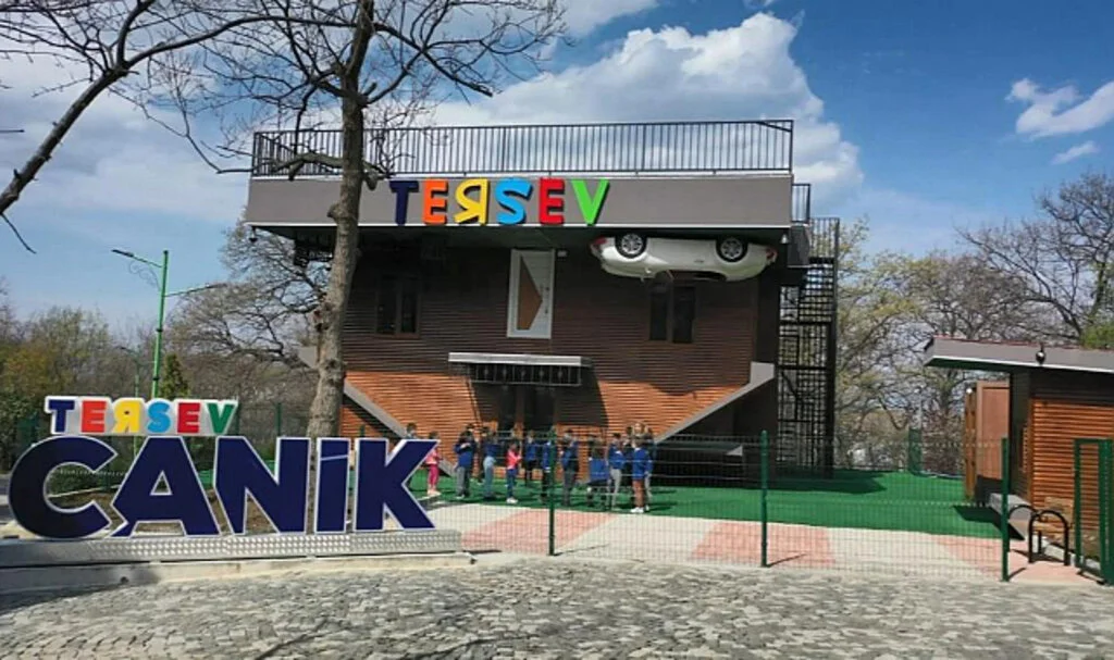 Tersine Dünya: Bu Evde Bir Terslik Var