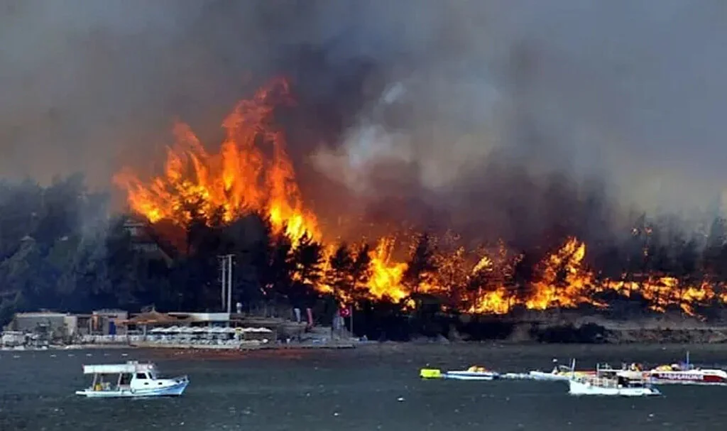 Bodrum’daki Yangının Faili Ormanı 100 Bin TL’ye Yakmış
