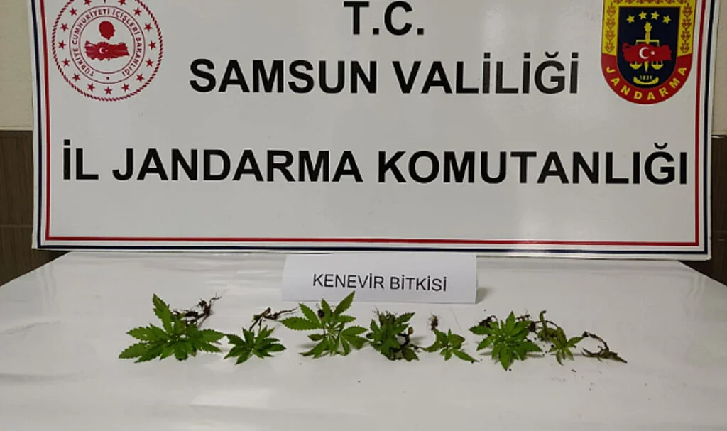 Çarşamba'da Uyuşturucu Operasyonunda 1 Zanlı Yakalandı