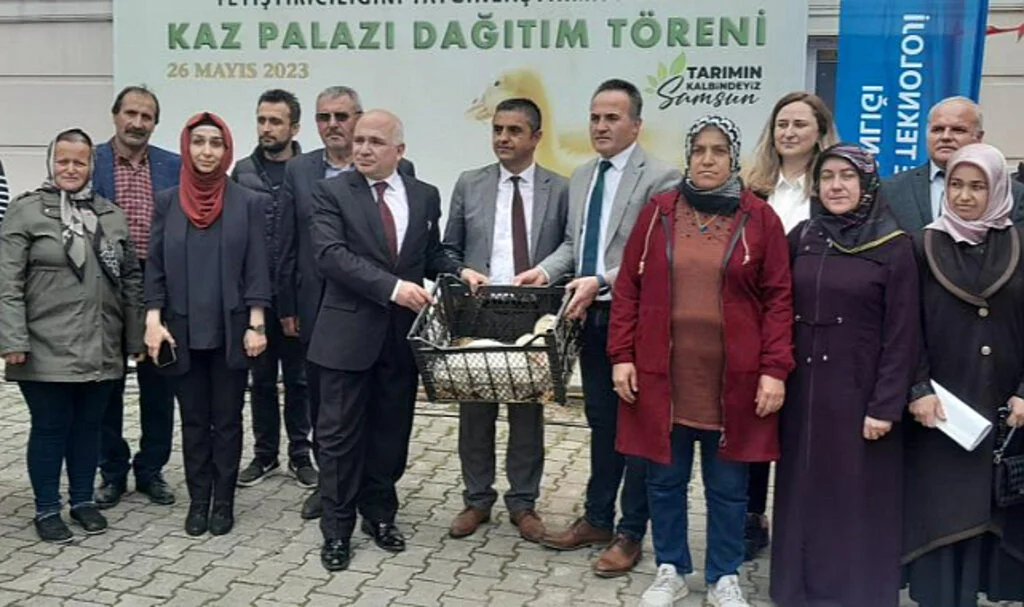 Kavak’ta Kaz Üretimi Artırılacak