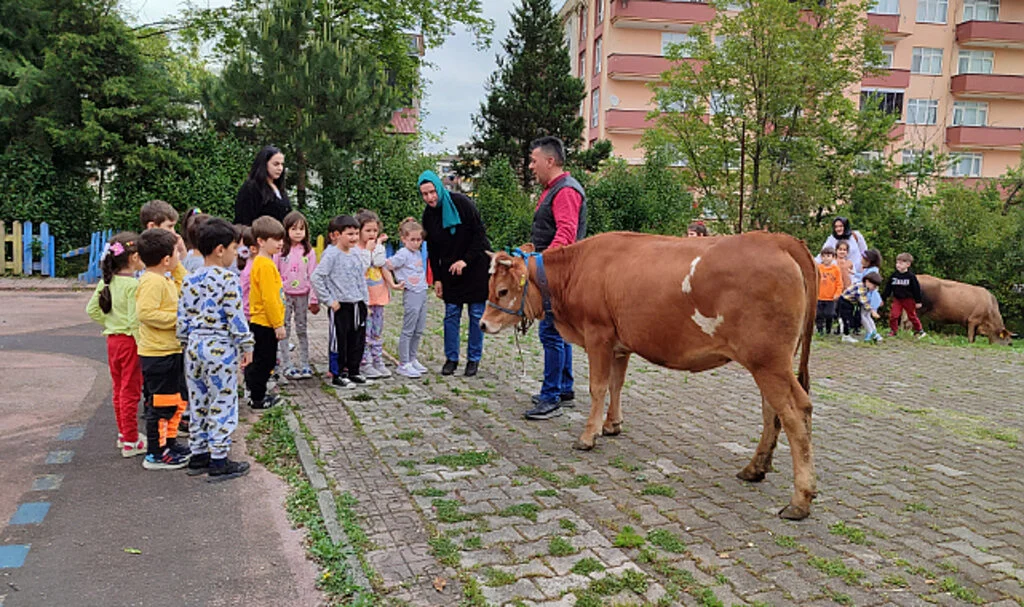 Salıpazarı'nda Sütün Önemine İnekle Dikkati Çektiler 