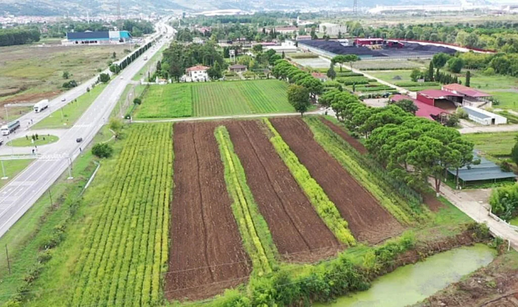 Samsun’da Üretilen 134 Türden 10 Milyon Fidan Türkiye’yi Yeşillendiriyor