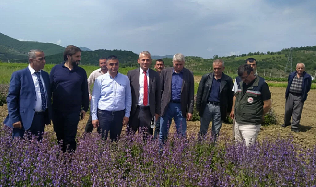 Samsun ‘tıbbı aromatik bitki’ üretiminde merkez oluyor