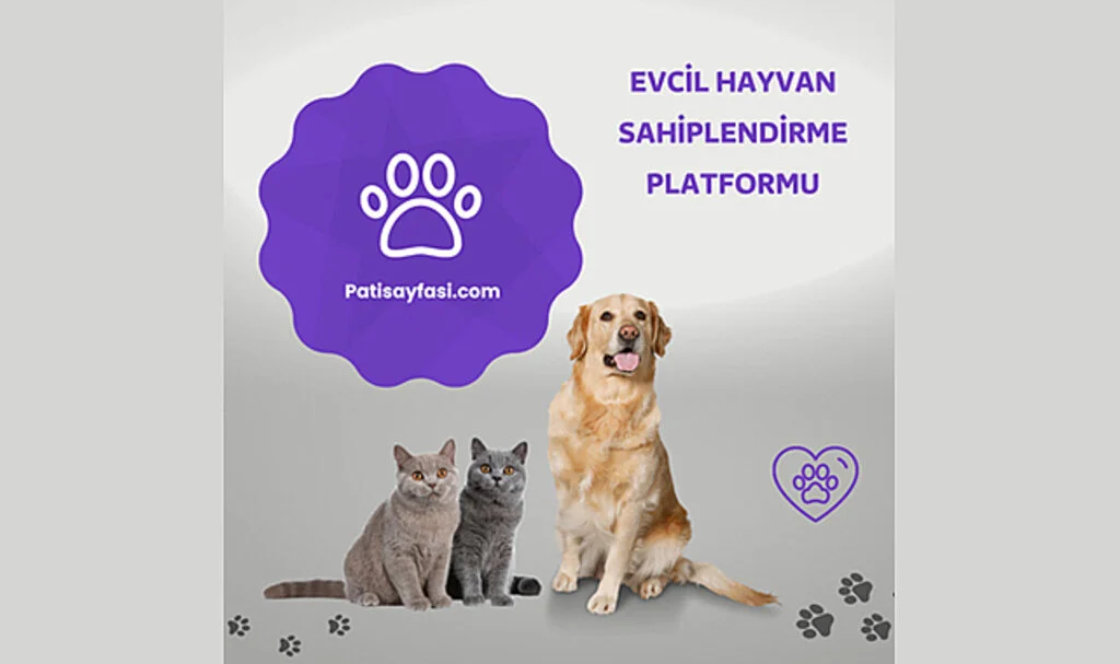 Sevimlilikleriyle Kalplerinizi Fethedecek: Toy Poodle ve Pomeranian Boo!