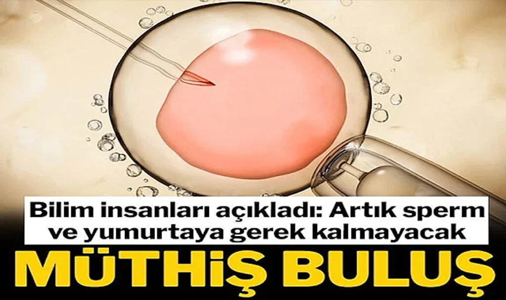 Bilim İnsanlarından Müthiş Başarı: Sentetik İnsan Embriyosu Yarattılar