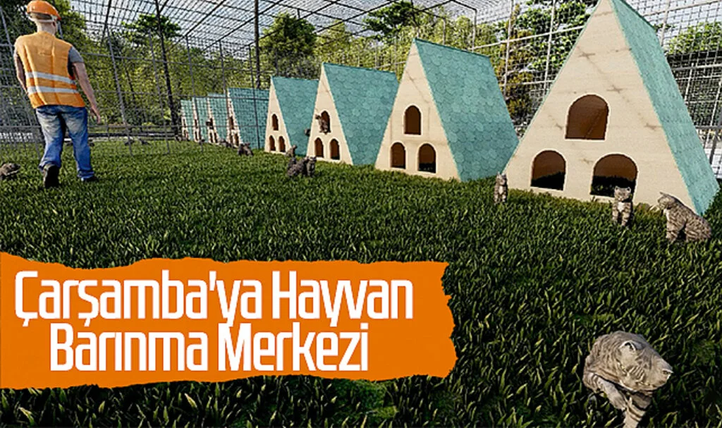Çarşamba'ya Hayvan Barınma Merkezi 