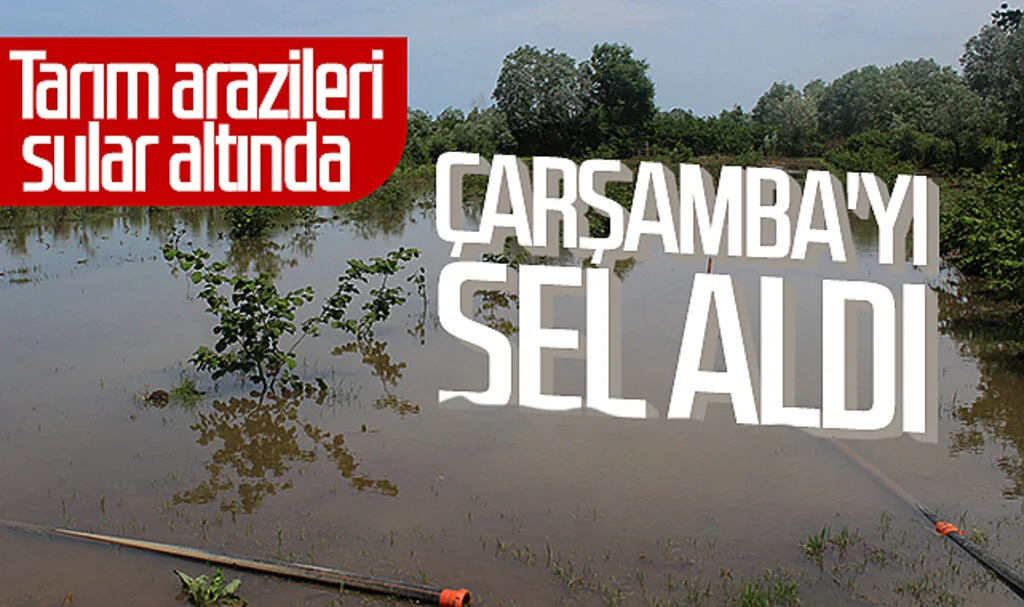 Çarşamba'yı sel aldı! Tarım arazileri sular altında