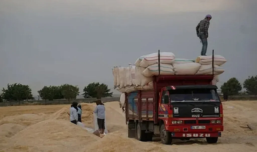 Çiftçi Sahipsiz Kaldı, Seçime Kurban Gitti