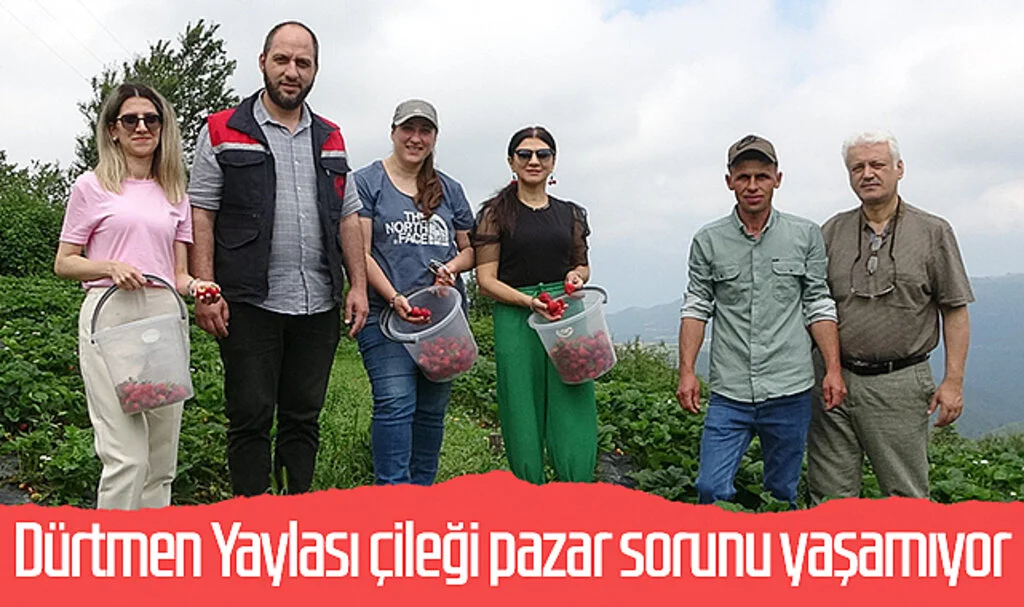 Dürtmen Yaylası çileği pazar sorunu yaşamıyor