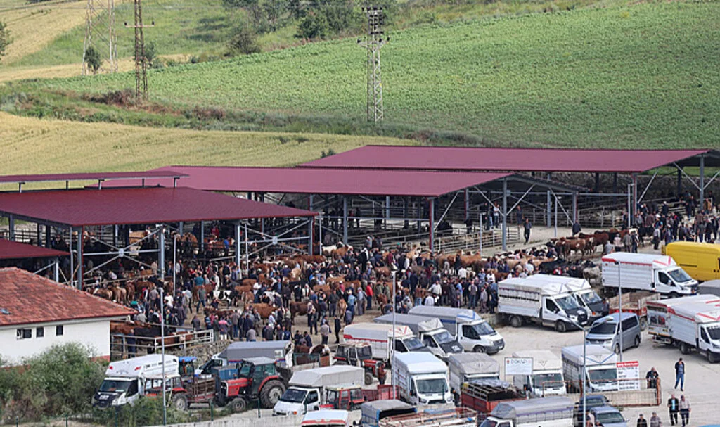 Havza'da Kurbanlık Pazarında Hareketlilik Arttı