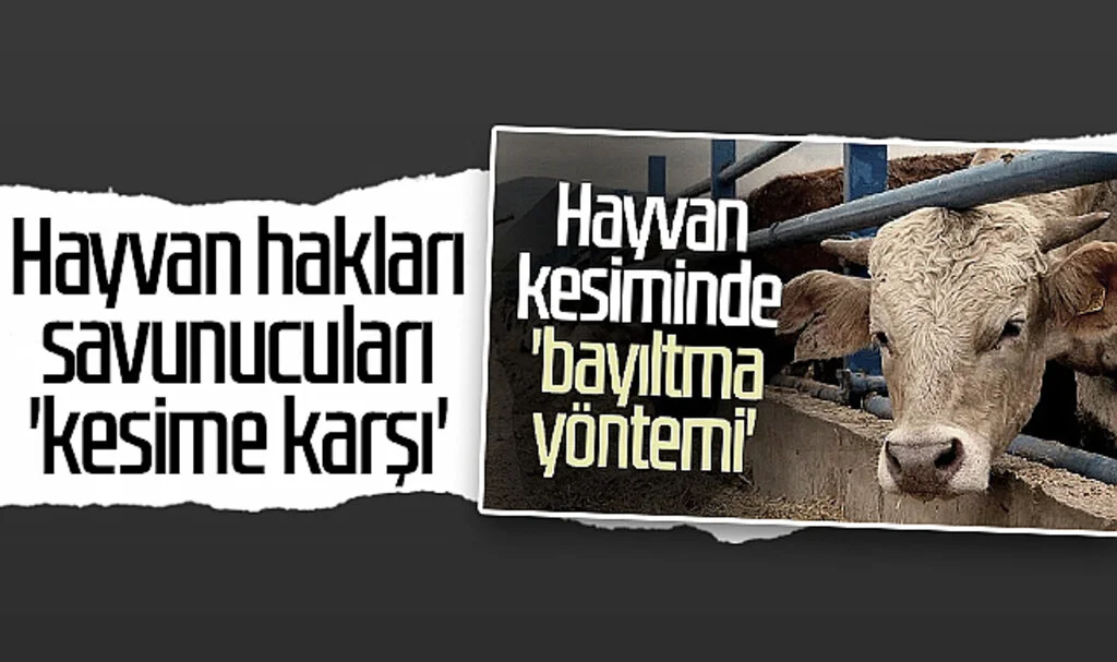 Hayvan hakları savunucuları 'kesime karşı'