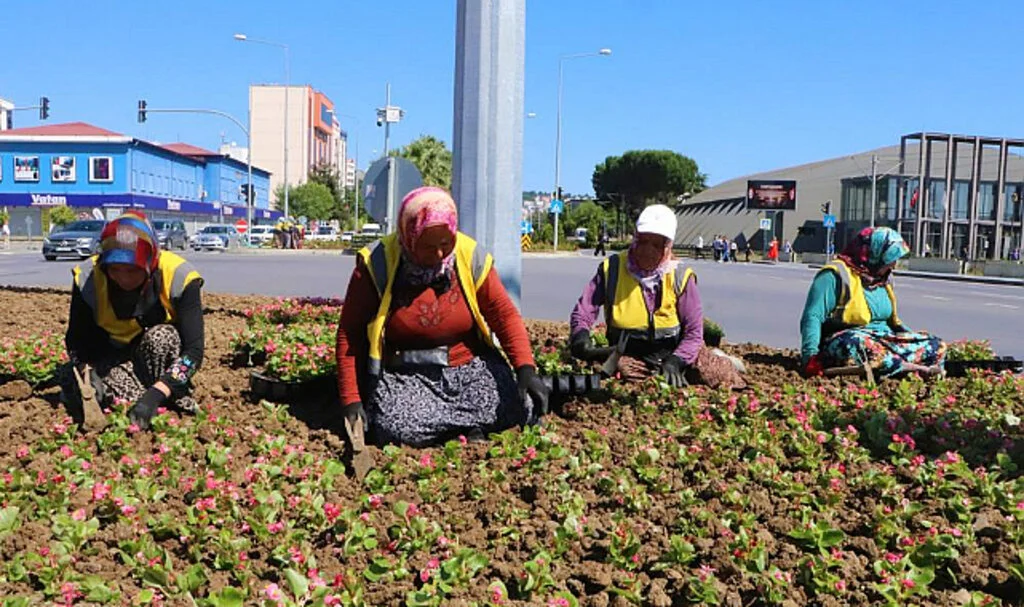Kadınların Yakıcı Güneş Altında Ekmek Mücadelesi: Şehri Onlar Süslüyor
