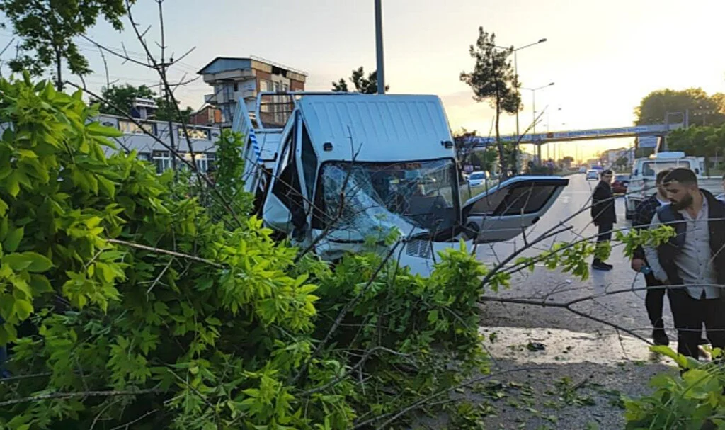 Samsun'da Ağaca Çarpan Kamyonet İkiye Bölündü: 2 Yaralı