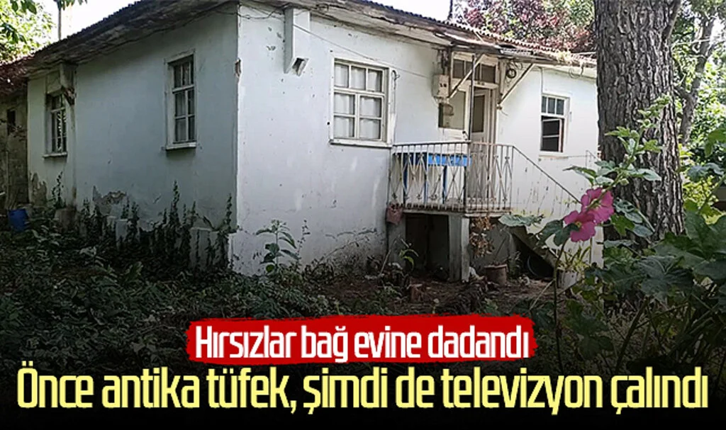 Samsun'da hırsızlar bağ evine dadandı: Önce antika tüfek, şimdi de televizyon çalındı