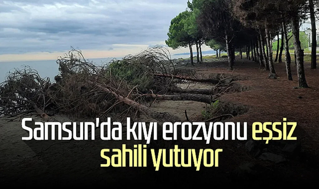 Samsun'da kıyı erozyonu eşsiz sahili yutuyor 