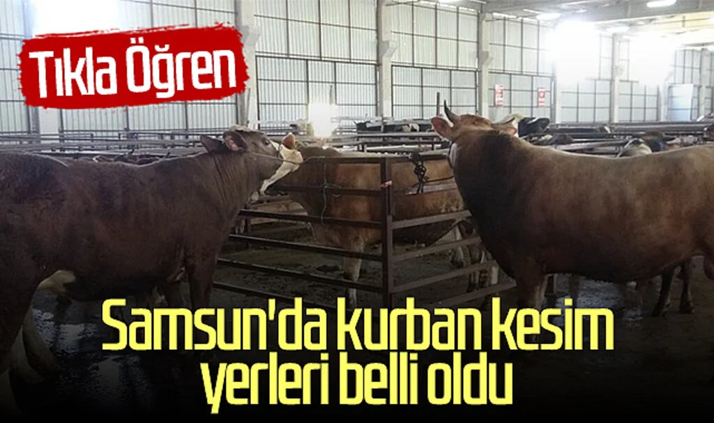Samsun'da kurban kesim yerleri belli oldu! Tıkla öğren...