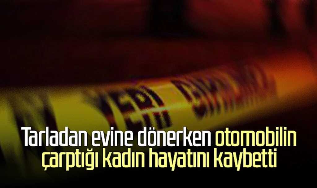 Samsun'da otomobilin çarptığı kadın hayatını kaybetti