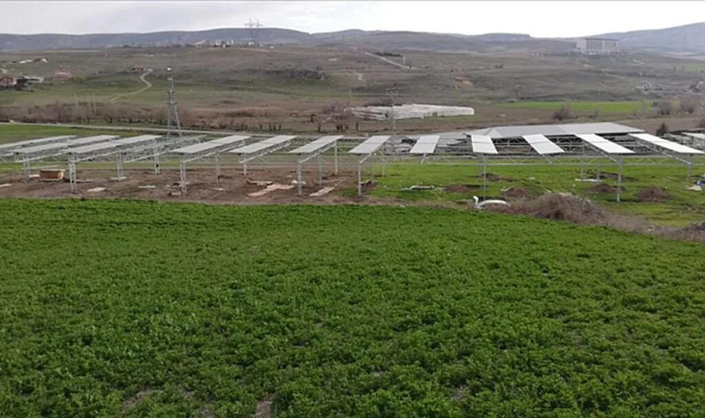 Türkiye'nin İlk Açık Alanda Tarım GES Uygulaması Ankara'nın Ayaş İlçesinde Elektrik Üretmeye Başlıyor