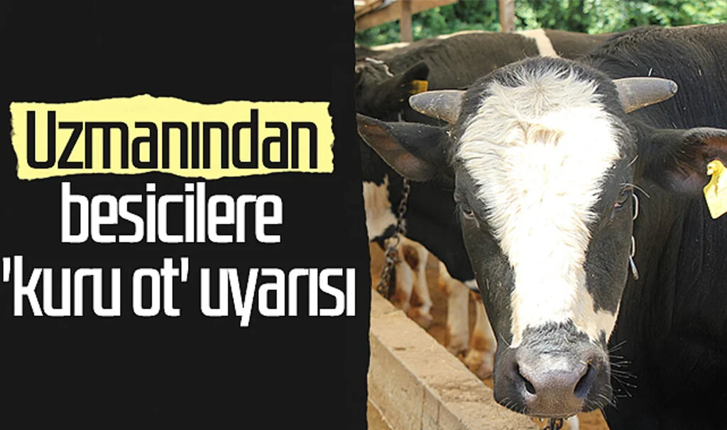 Uzmanından Besicilere 'Kuru Ot' Uyarısı 