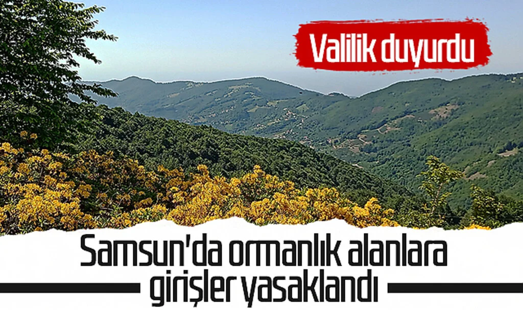 Valilik duyurdu! Samsun'da ormanlık alanlara girişler yasaklandı