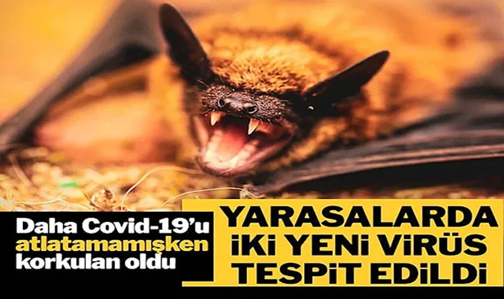Yeni Covid-19 Salgını Korkusu: Bilim İnsanları İki Yeni Virüs Keşfetti