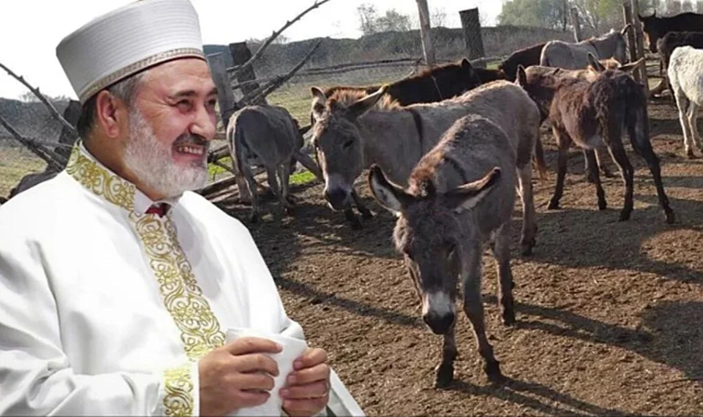 Ankara İl Müftüsü, Evcil Eşeğin Etinin ve Sütünün Haram Olduğunu İfade Etti