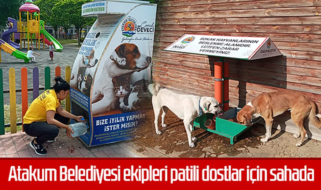 Atakum Belediyesi ekipleri patili dostlar için sahada