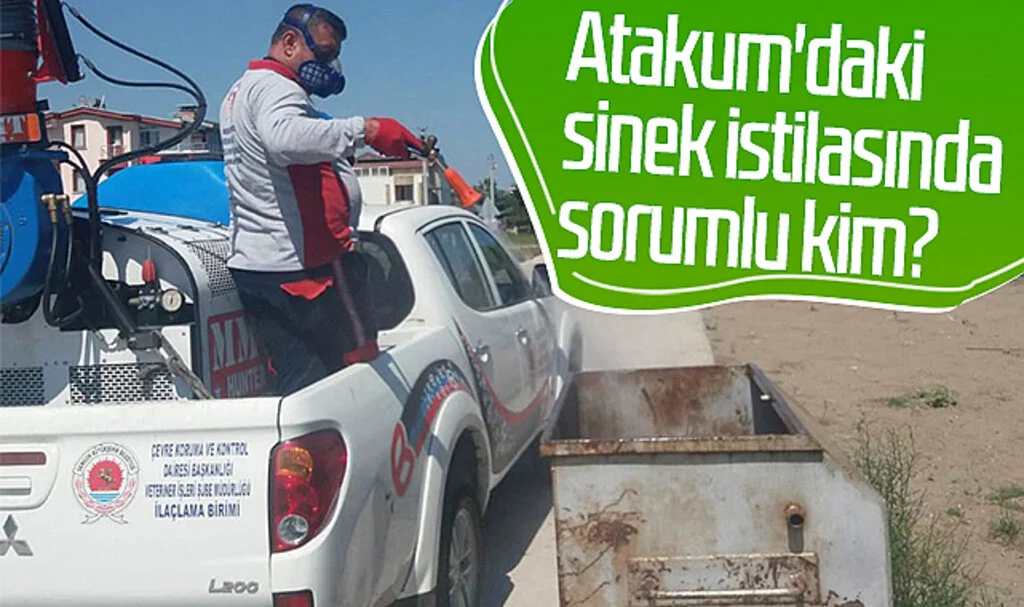 Atakum'daki sinek istilasında sorumlu kim?