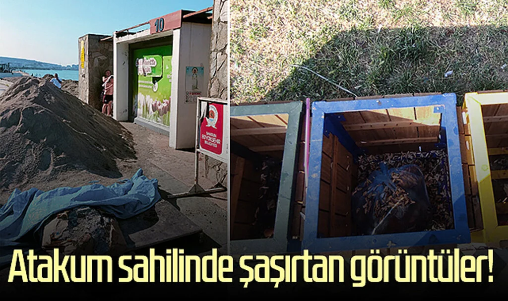 Atakum sahilinde şaşırtan görüntüler 