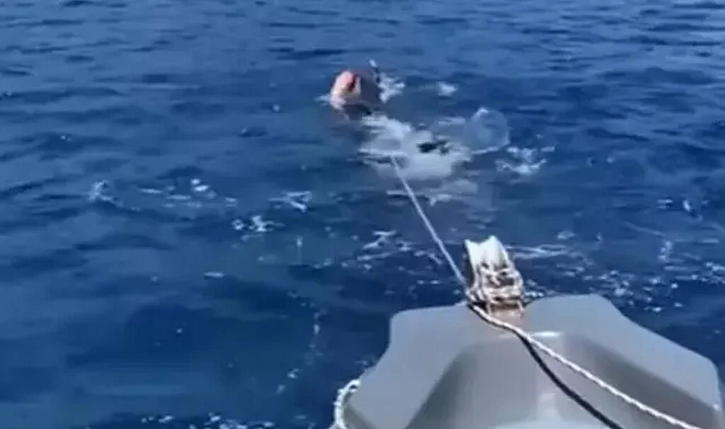 Bozulan Botunu Yüzerek Karaya Çekti! O Anları Paylaşıp, Adeta Şov Yaptı