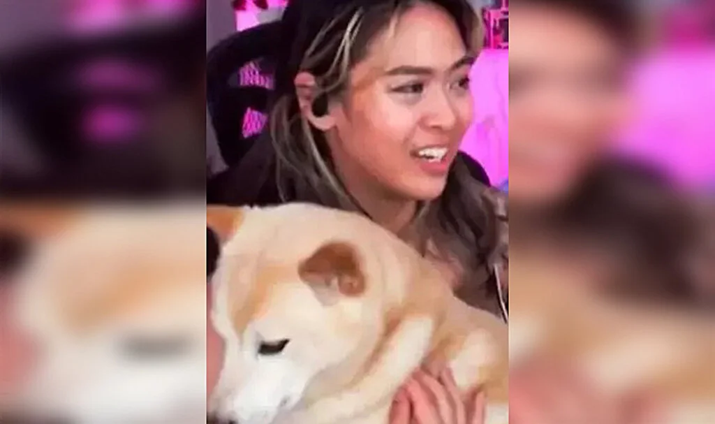 Canlı Yayında Fenomenin Zor Anları! Köpeği Bir Anda Kucağına Çıkıp... Cezası Gecikmedi