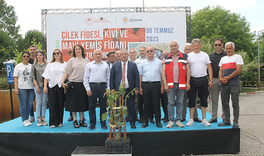Çarşamba'da Üreticilere Kivi Fidanı Dağıtıldı
