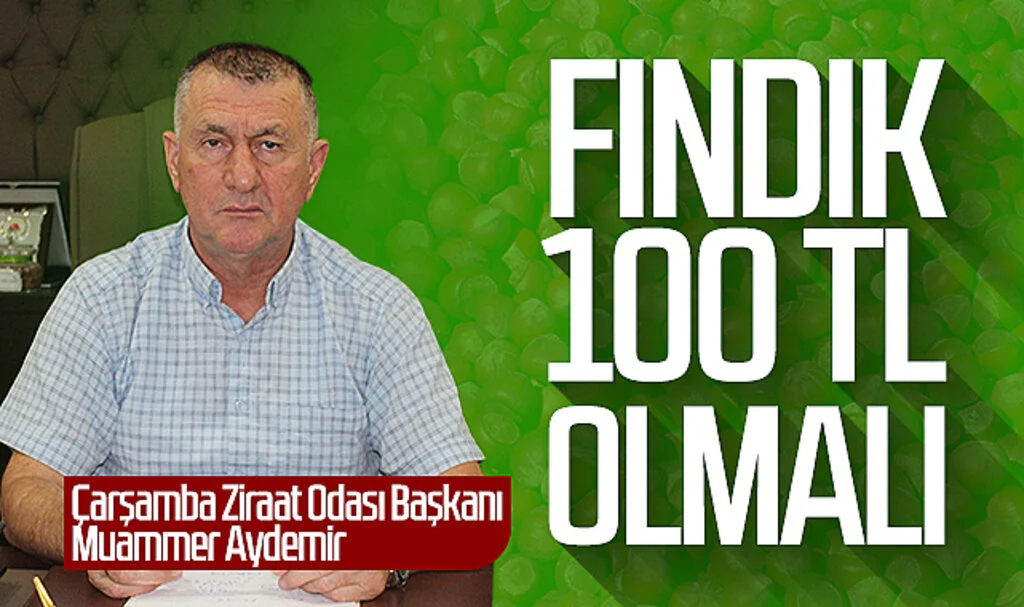 Çarşamba Ziraat Odası Başkanı Muammer Aydemir: Fındık 100 TL olmalı