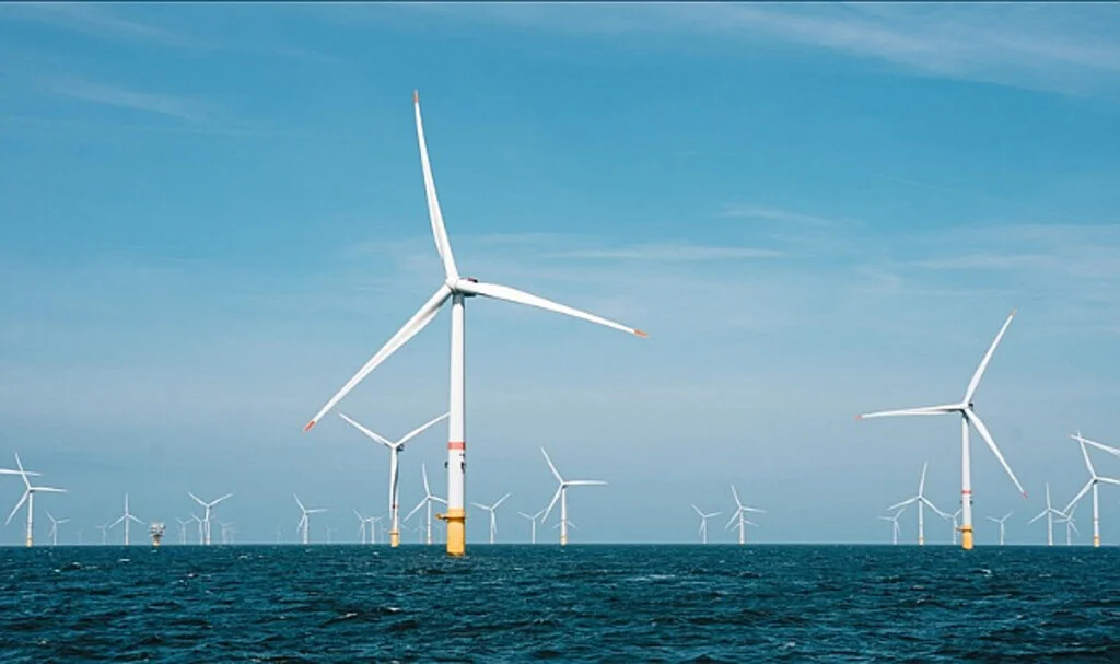 Deniz Üstü Rüzgar Enerjisi Saha Geliştirme Çalışmaları Kapsamında Çevresel Analiz Yapılacak